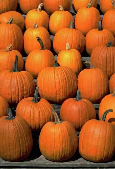 Pumpkins: Pumpkins sitting on stairs
