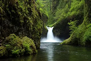 Punch: Punch Bowl Waterfall, Eagle Creek, Columbia