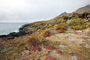 Cristobal: Punta Pitt - Isla San Cristobal