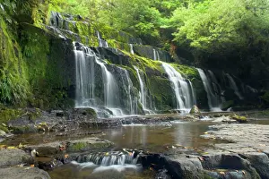 Purakaunui: Purakaunui Falls - beautiful waterfall within dense