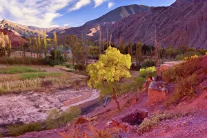 Purmamarca: Purmamarca - primitive farming by indigenous Quechua