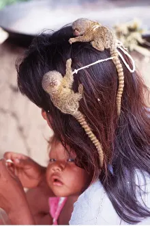 Twin: PYGMY MARMOSET - twins on woman's head