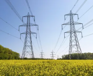 Cable: Pylons carrying high voltage electricity cables