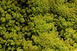 Pyromorphite: Pyromorphite - lead mineral