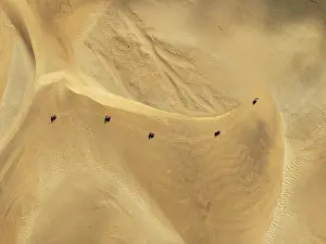 Dune: Quad bikes in the dunes of the Namib Desert in the vicinity of the coastal town of Swakopmund