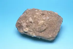 Pebbles: Quartz Conglomerate