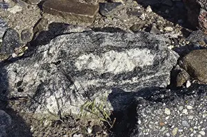 Intrusive: Quartz Lens in Granite