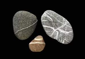 Vein: Quartz Veins