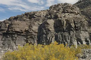 Quartzite: Quartzite in Death Valley