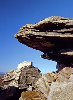 Ridges: Quartzite Outcrop