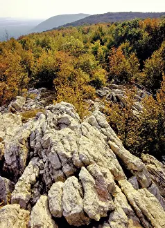 Quartzite: Quartzite Outcrop on the Appalachian Trail