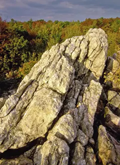 Quartzite: Quartzite Outcrop on the Appalachian Trail