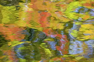 Imagination: Quebec, Canada. Autumn colors reflecting