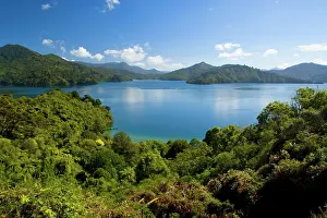 Sounds: Queen Charlotte Sound - view towards the blue waters