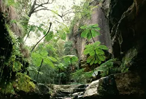 Queensland, AUSTRALIA