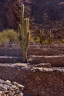 Remnants: Quilmes Ruins - remnants of prehispanic Ruinas