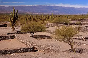 Remnants: Quilmes Ruins - remnants of prehispanic Ruinas
