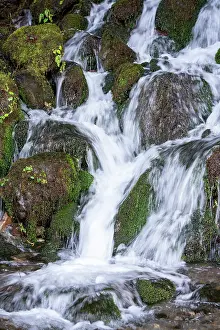 Falling: Quinault, Washington State, USA. Bunch Creek Falls