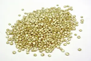 Protein: Quinoa Seeds
