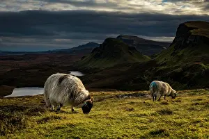 Skye: Quiraing massif with dramatic clouds and sheep in
