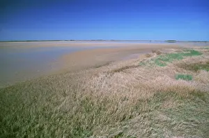 Stopover: Quivira National Wildlife Refuge, Kansas