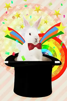 Spell: Rabbit