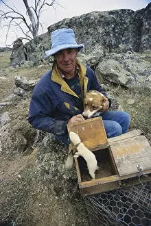 Putorius: Rabbit Control, Australia