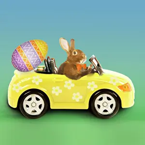 Bowties: Rabbit - Easter Bunny driving car with Easter egg