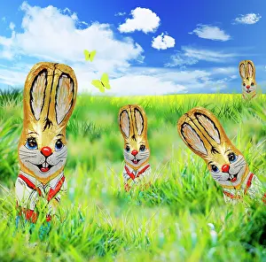 Foil: Rabbit - foil covererd chocolate easter rabbit