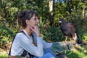 De Jour: RABBIT HUNTING FALCONRY