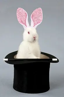 Mini: RABBIT - Mini ivory satin in top hat with fake bunny ears