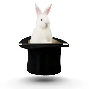070219: RABBIT - Mini ivory satin in top hat, floating