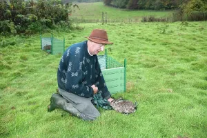 Injections: Rabbit - being vaccinatied against viral hemorrhagic