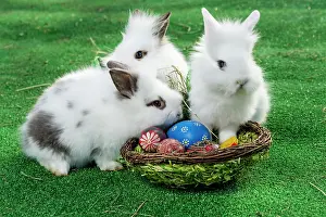 Custom: Rabbits with a basket, Easter eggs