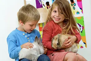Stroking: Rabbits - being cuddled by two young children