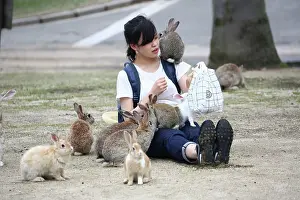Okunoshima: Rabbits of Okunoshima