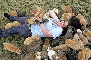 Okunoshima: Rabbits of Okunoshima