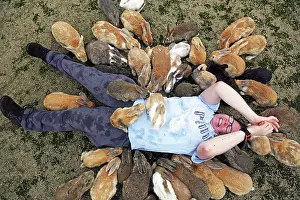 Okunoshima: Rabbits of Okunoshima