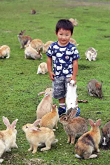 Okunoshima: Rabbits of Okunoshima