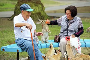 Okunoshima: Rabbits of Okunoshima