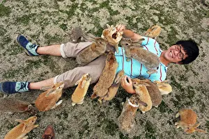 Okunoshima: Rabbits of Okunoshima