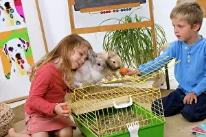 Carrots: Rabbits - two sitting ontop of cage being fed carrots