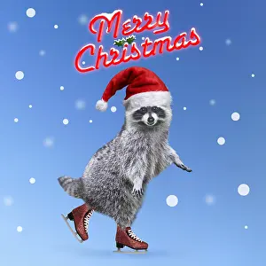 Skating: Raccoon (Procyon lotor) ice skating in Christmas hat