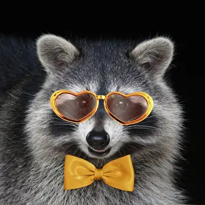 Raccoons: Raccoon - wearing gold heart shaped glasses and bow tie