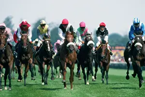 Jockey: RACE HORSES - RACING