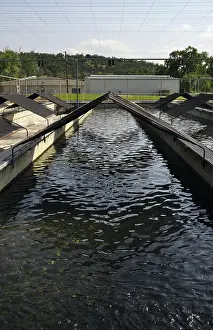 Hatchery: Raceways at fish hatchery