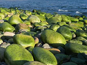 Orcadian: Rackwick Bay Beach, Hoy island, Orkney islands