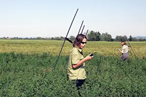 Radio: Radiotracking of Common Hamster