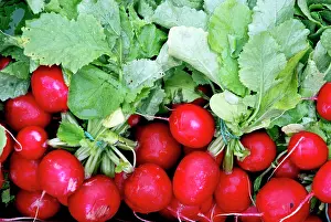Radishes: Radishes