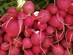 Strong: Radishes